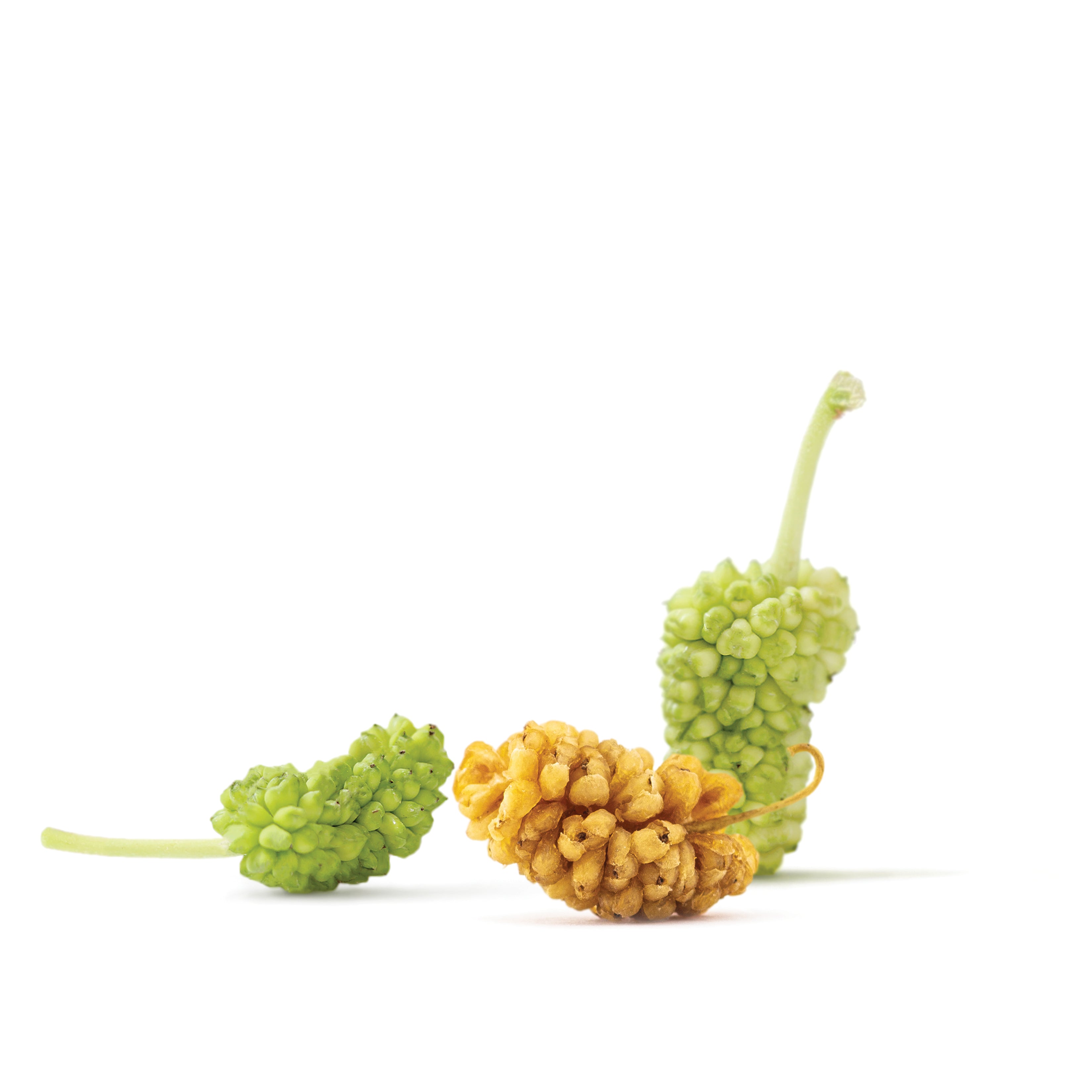 Foods Alive - Organic Mulberries - 8 oz,