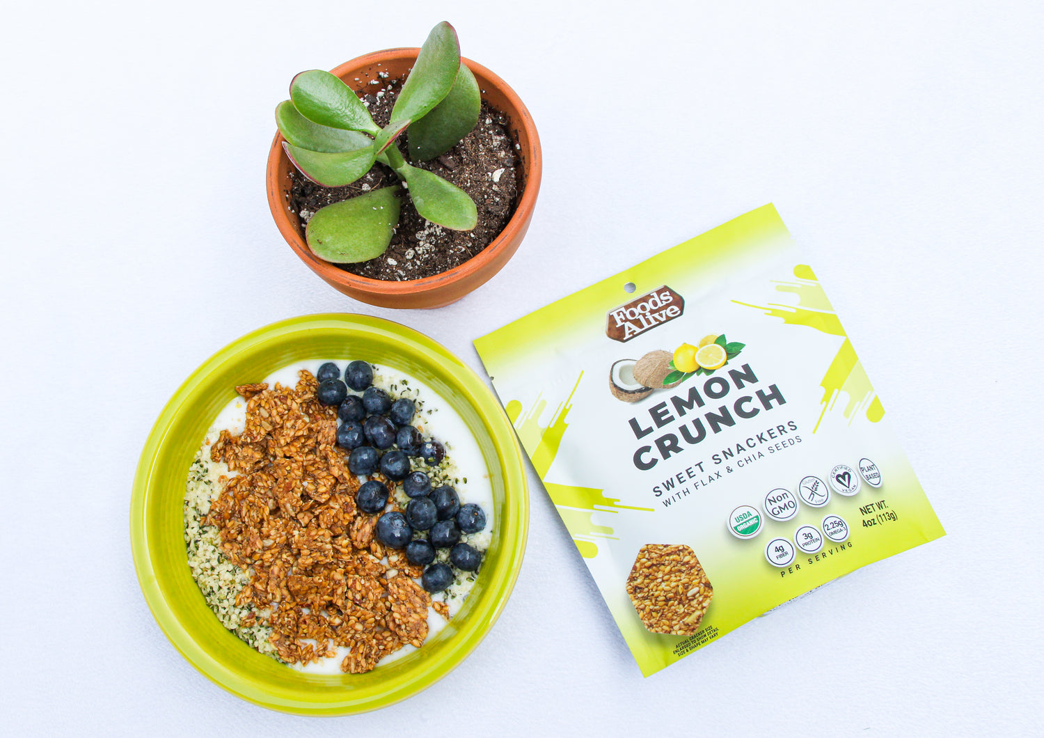 Foods Alive Organic Lemon Crunch Crackers