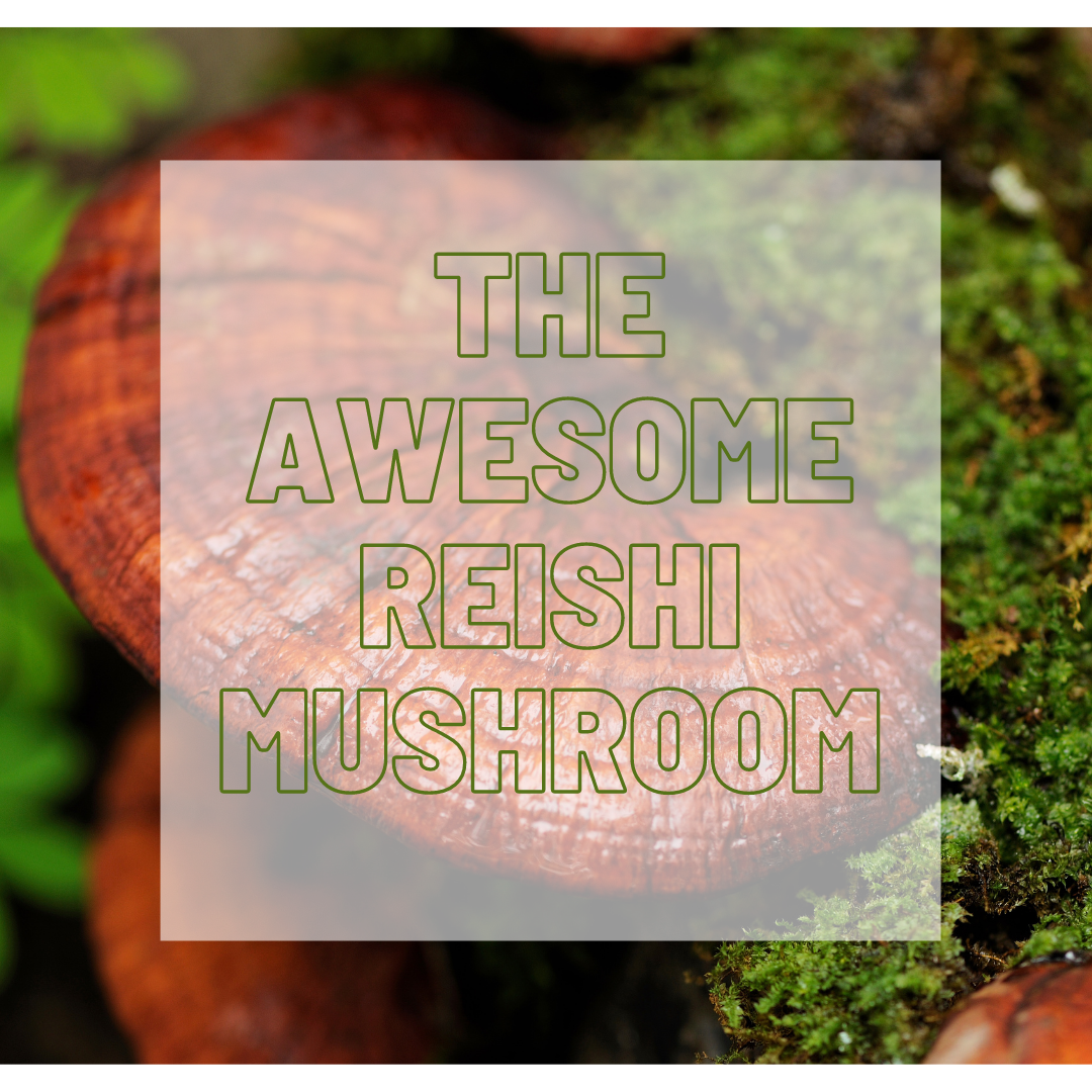 The Amazing Reishi Mushroom