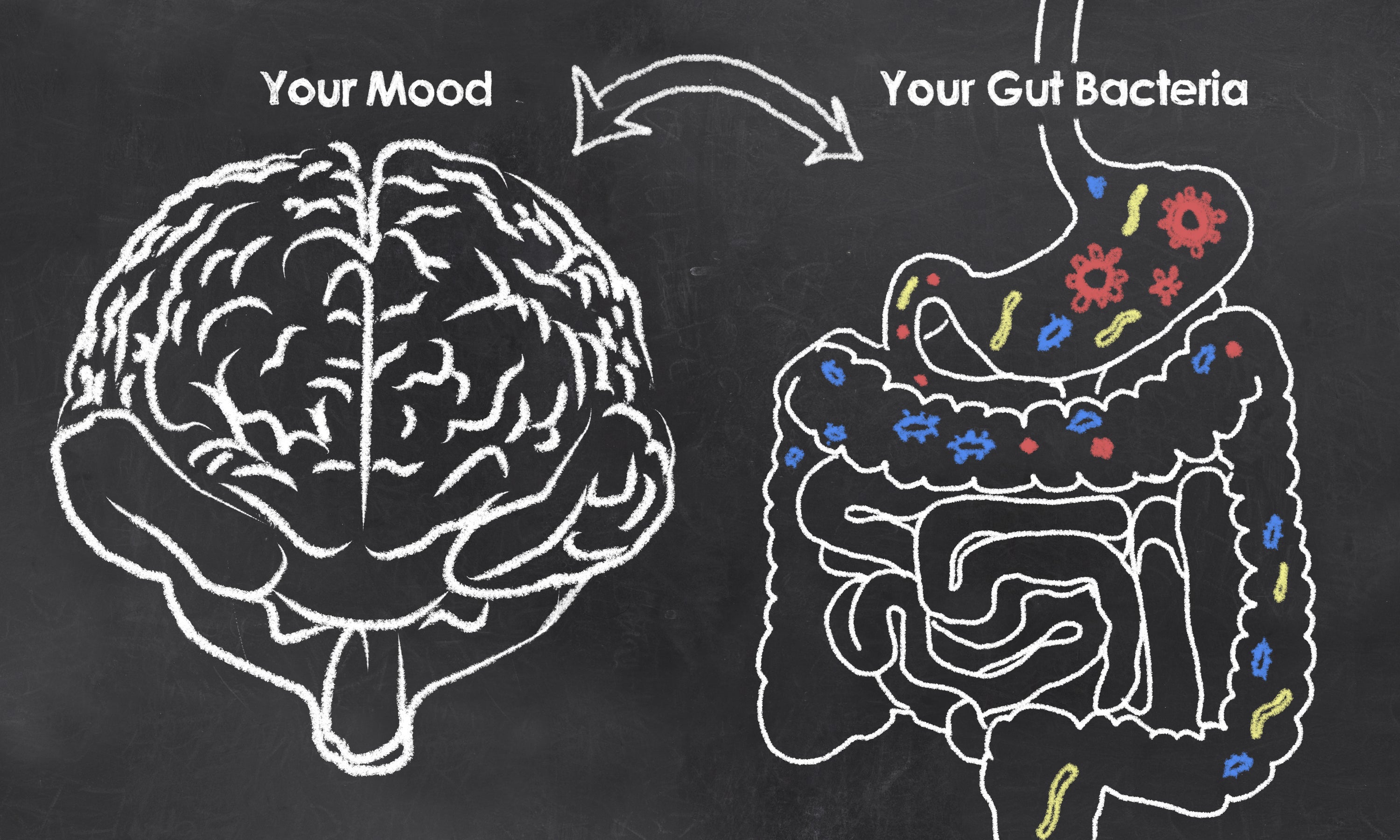 Gut Microbiome: The World Inside of You