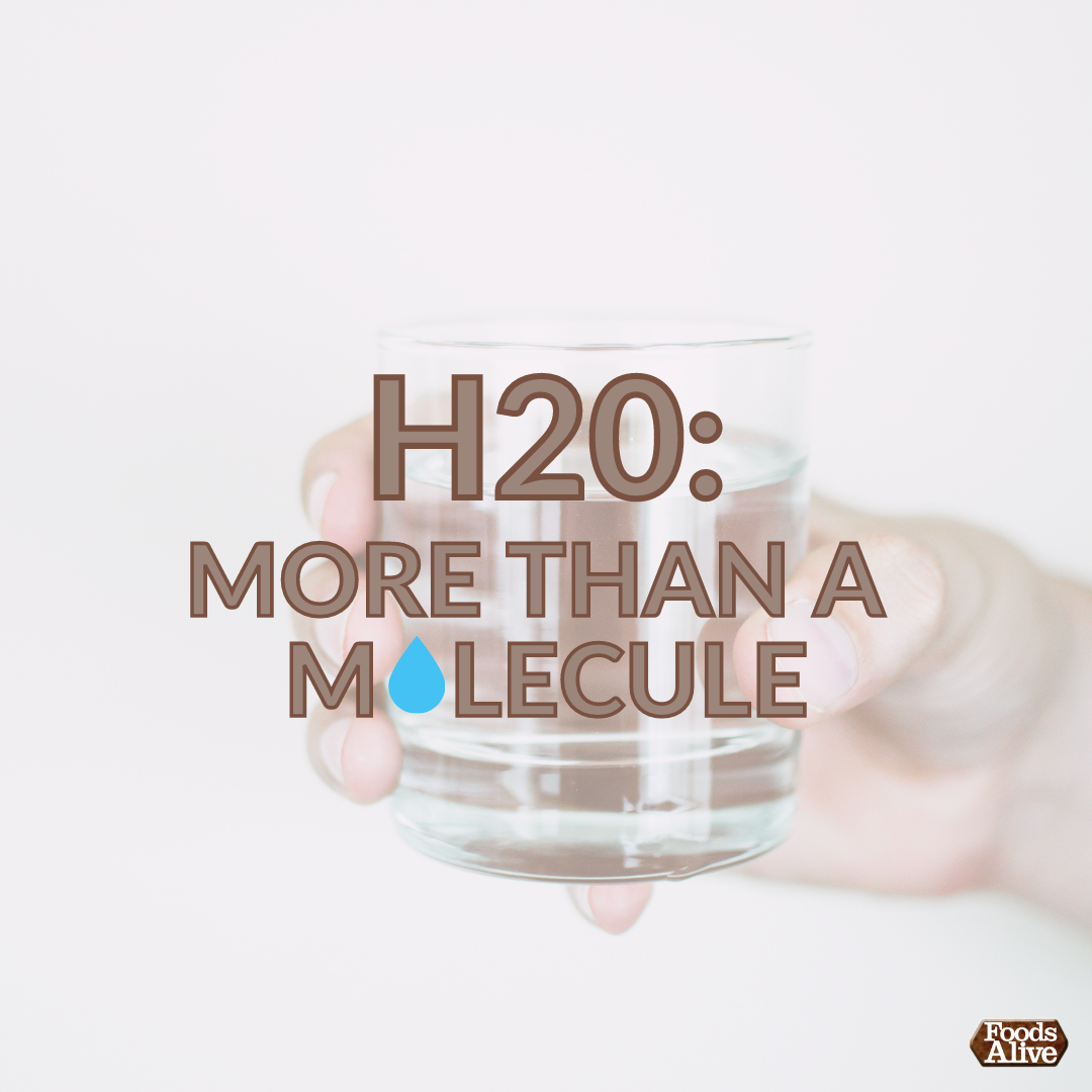 H2O: More Than a Molecule