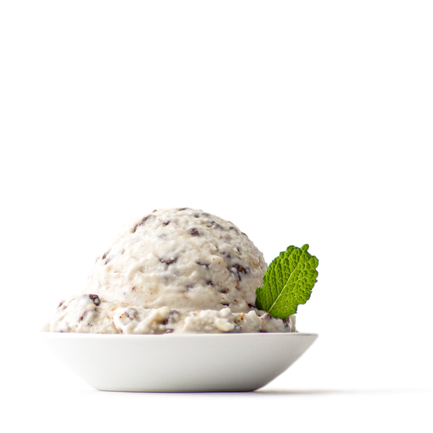 white ice cream with chocolate chip cacao nib pieces in white dish with a mint leaf