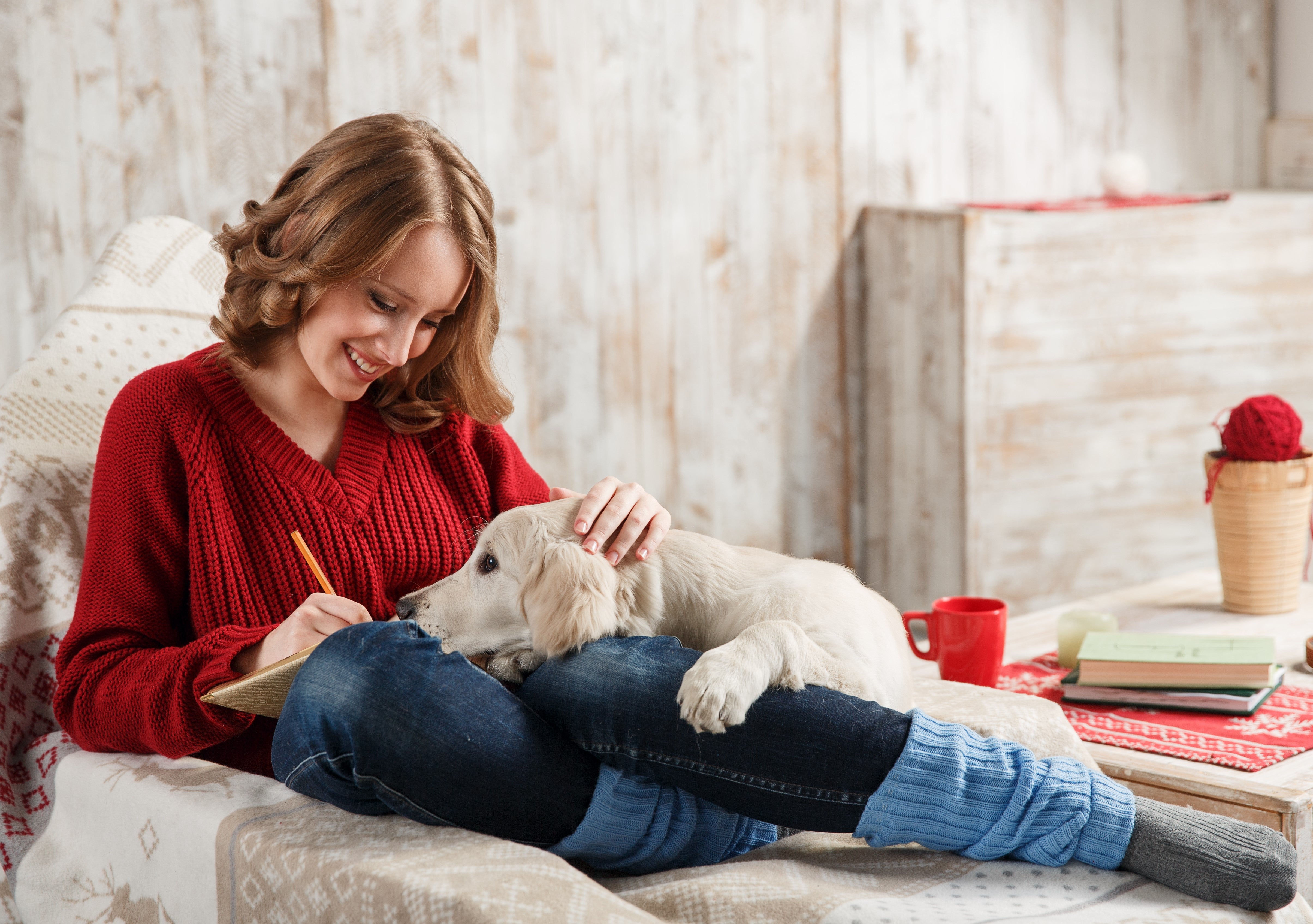 Puppy Love: How Your Pet May Help You Destress – Foods Alive Inc.