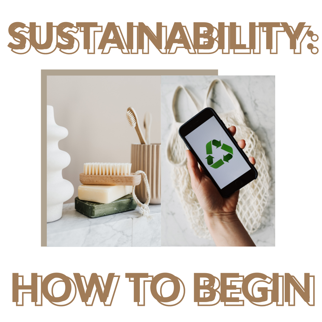 Sustainability: How to begin when you feel overwhelmed