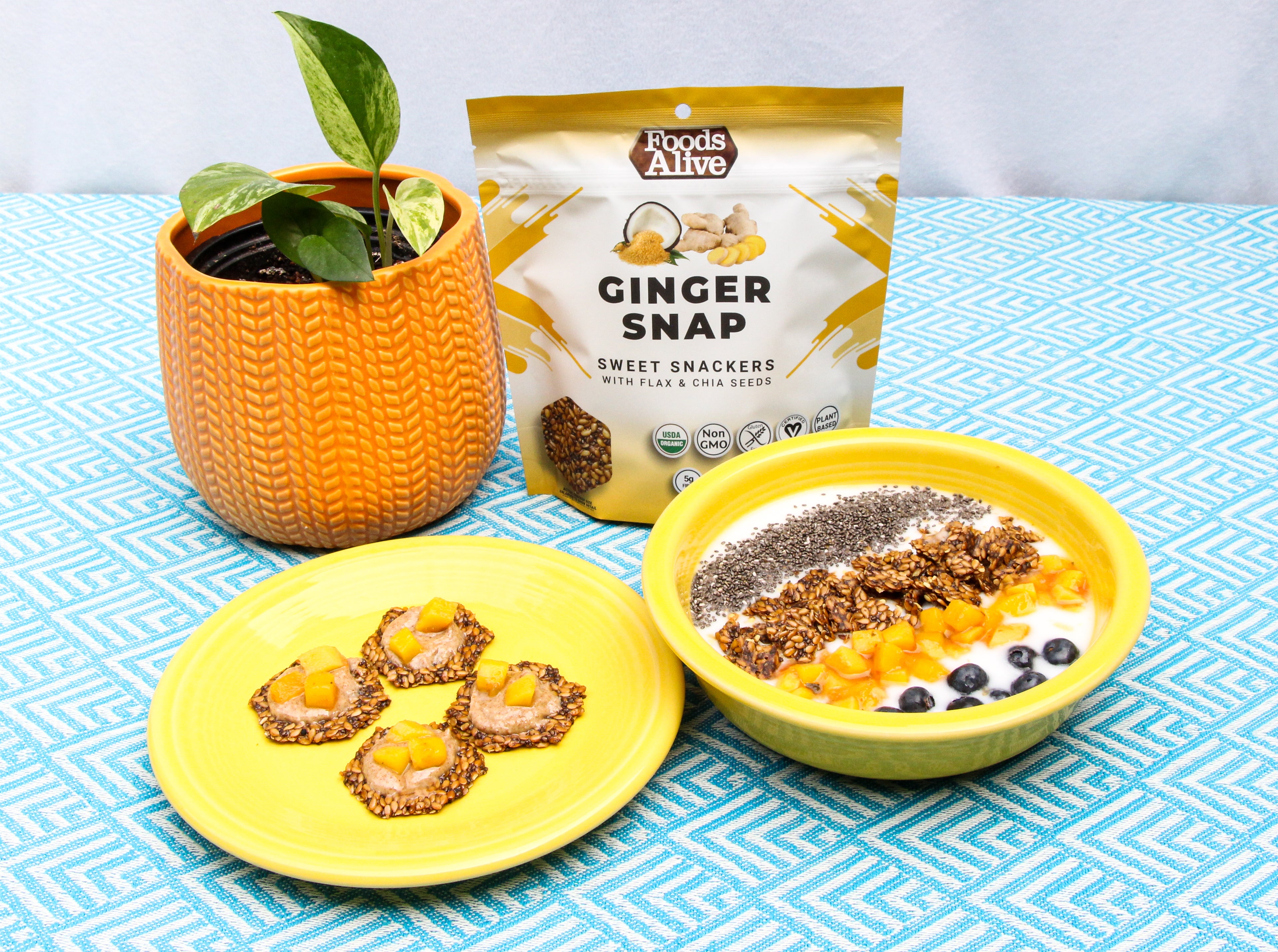 Foods Alive Organic Ginger Snap Crackers