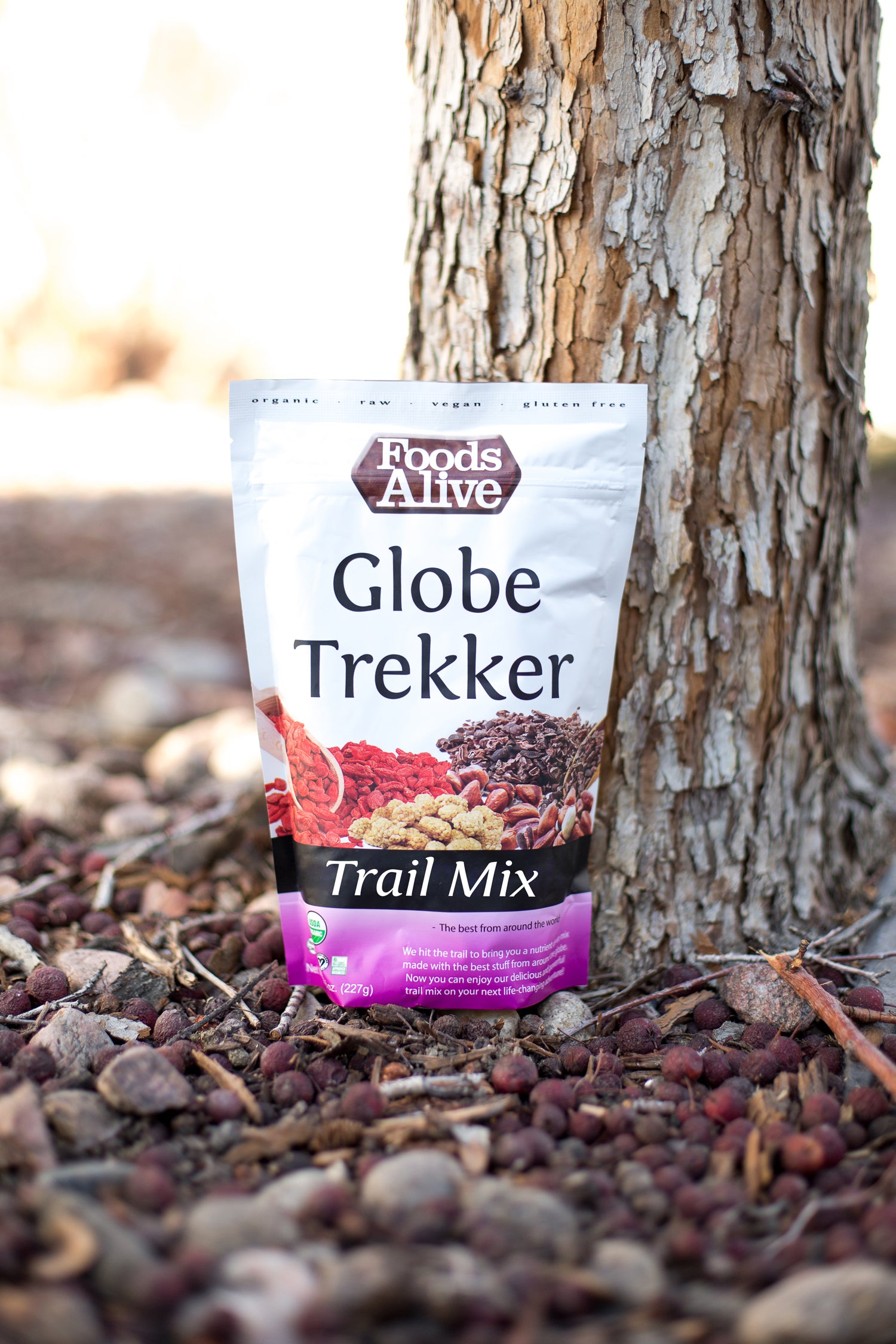 Foods Alive Organic Globe Trekker Trail Mix Snack