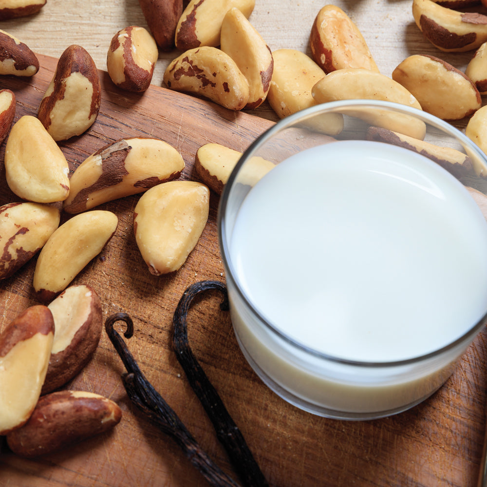Foods Alive Brazil Nut Milk Recipe